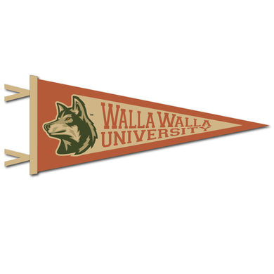 12 X 30 Pennant | Red