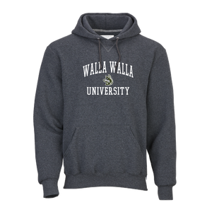 Unisex Fleece Hooded Sweatshirt, Charcoal Heather