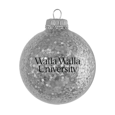 Sparkle Glass Ball Ornament | Silver
