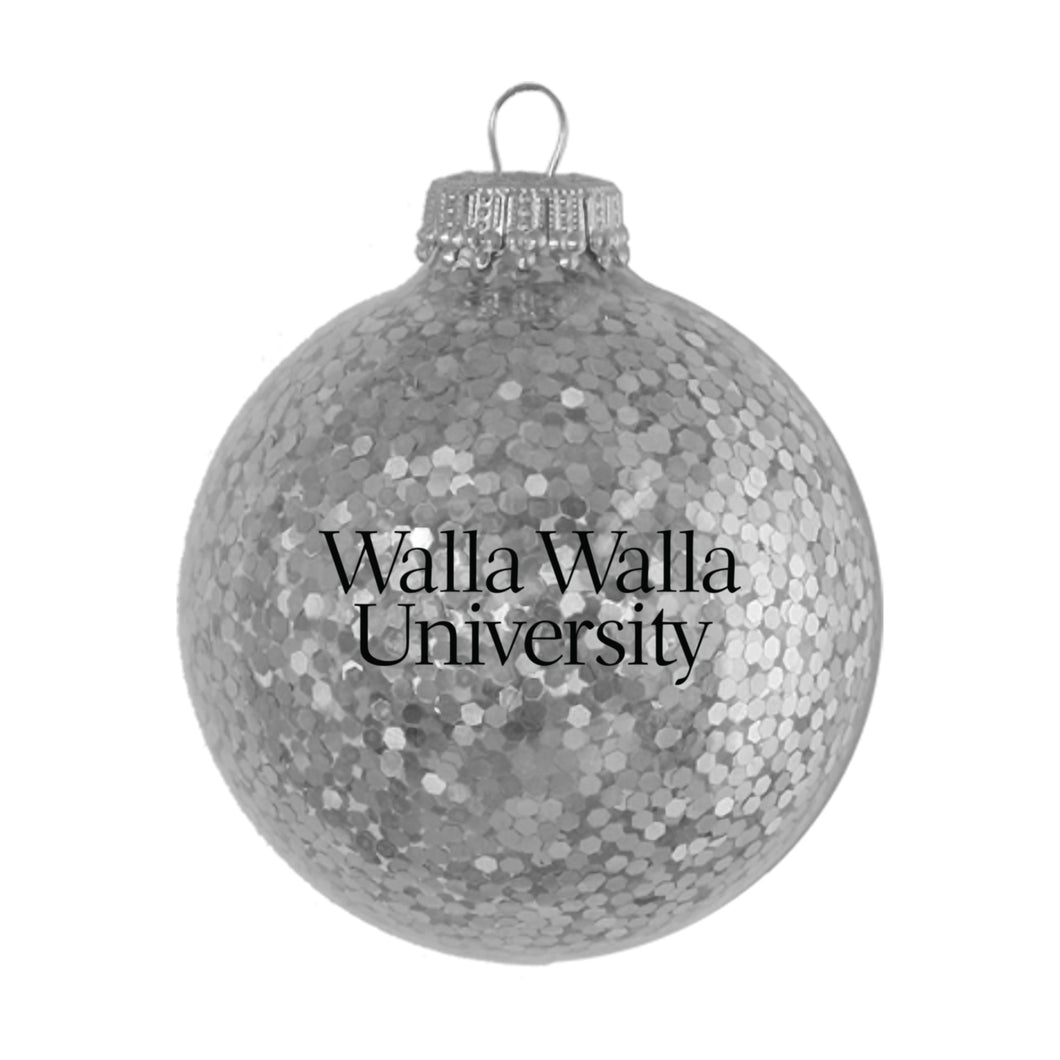 Sparkle Glass Ball Ornament | Silver